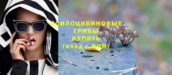 мет Осташков