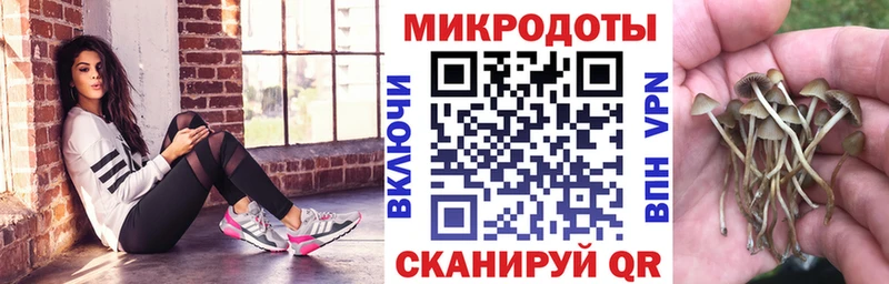 Галлюциногенные грибы прущие грибы  магазин  наркотиков  Слюдянка 